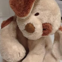 darlings-corner avatar