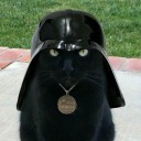 darth-puma-vader avatar