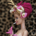 das-chaos-und-die-orsons avatar