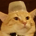 dasenpaivarlet avatar