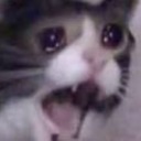 dashgirlkid10 avatar