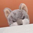 dashingcardyrhardes avatar