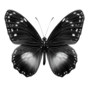 dashingwishes avatar