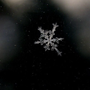 dasschicksalskind avatar