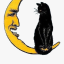 dastardlydandelion avatar