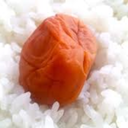 dasumeboshi avatar