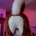 dat-fur-booty avatar