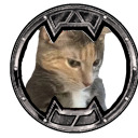 dat1nekomata avatar