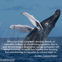 datcrazywhalelady avatar