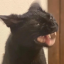 date-everything-has-taken-over avatar