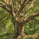 dateaforestgod avatar