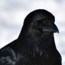 datodinicshit avatar