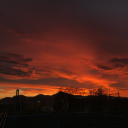 daughter-of-satan23 avatar