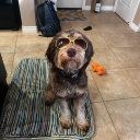 daughter0fares avatar