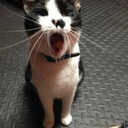 daughterofhel avatar