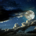 daughterofnyx avatar