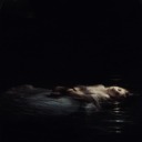 daughters-of-nyx avatar