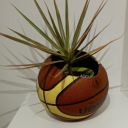 davedandconfuzed avatar