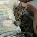 daveduarte3d3 avatar