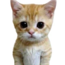 daviddandfriendz avatar