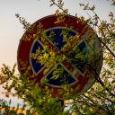 davidesafarrr avatar