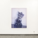 davidhanesinfo avatar