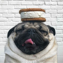 davidinspires avatar