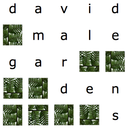 davidmalegardens-blog avatar