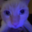 davidrebooted avatar