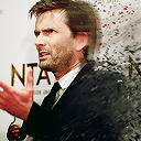 daviedtennant avatar