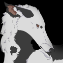 dawgtheborzoi avatar