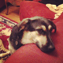 dawicked-booyah avatar