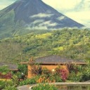 dawnnaomidesigns avatar