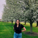 day-dreams-and-wishes avatar