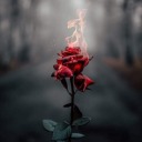 dayane-farias avatar