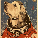 daybreaker796 avatar