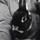 daydream-adventures avatar