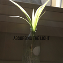 daydreamcatcherblog avatar