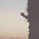 daydreamer-k8 avatar