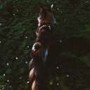 daydreamer2202 avatar