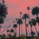 daydreamerbyniight avatar