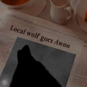 daydreamerdisease avatar