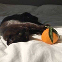 daydreamersblog avatar