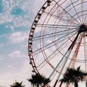 daydreamerzzzzx avatar