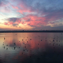 daydreaming--stuff avatar