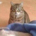 daydreaming-because-i-can avatar