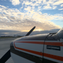 daydreamingkid avatar