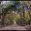 daydreamplaces avatar