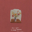 daydreamwithme avatar