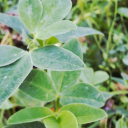 dayinthe-mundane avatar